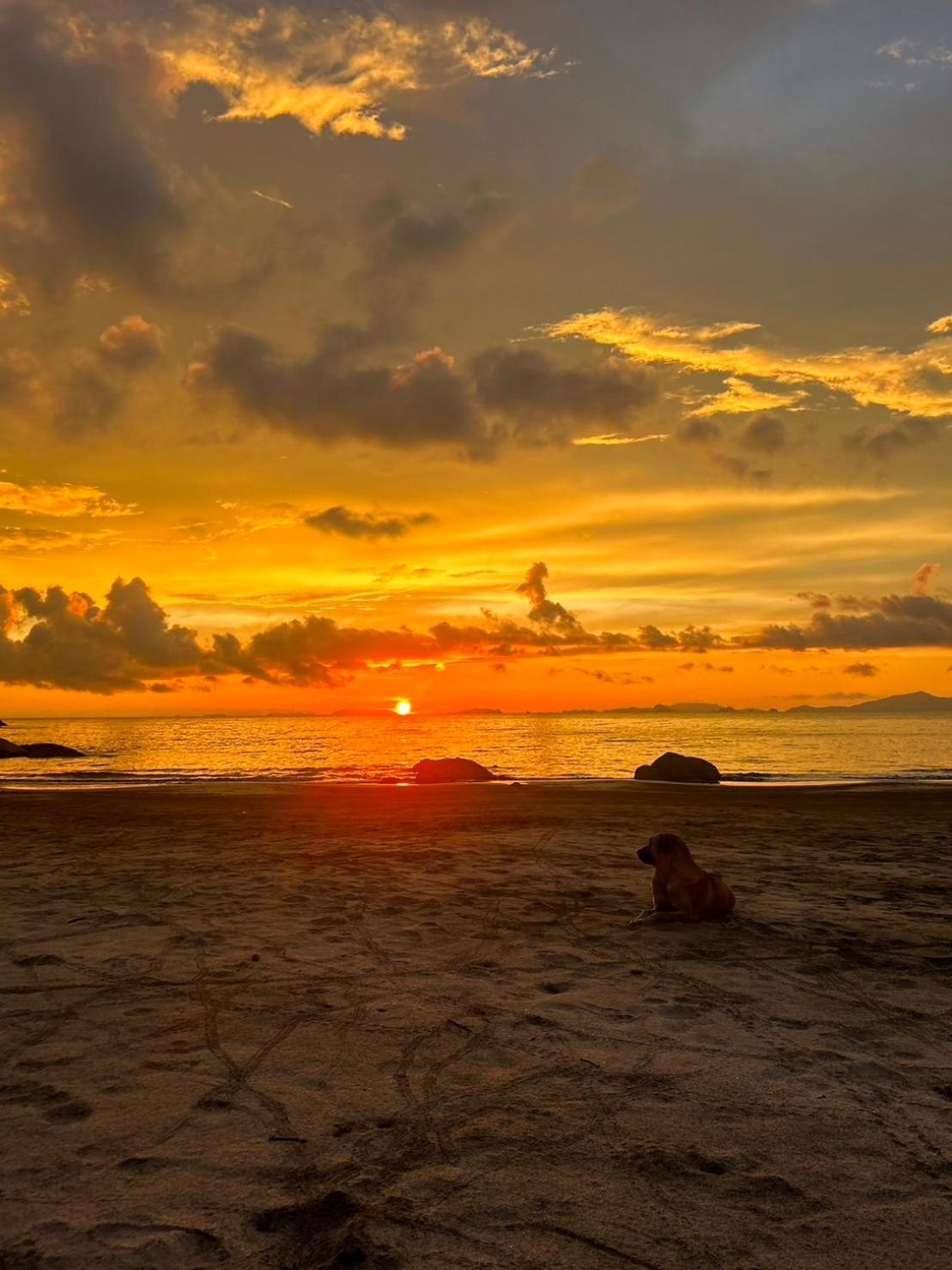 Lae Tawan Bungalow Koh Chang Ranong Εξωτερικό φωτογραφία